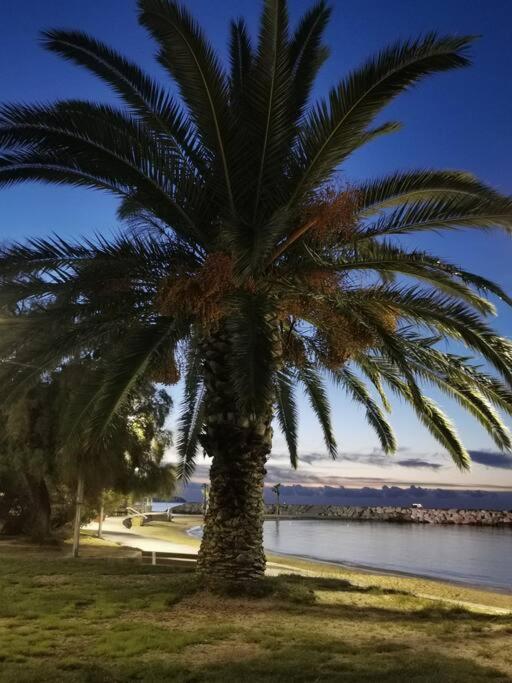 Bel Appartement 6 Personnes - Proche Toutes Commodites Toulon Exterior foto